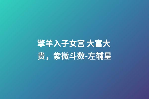 擎羊入子女宫 大富大贵，紫微斗数-左辅星-第1张-观点-玄机派